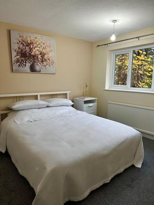 Stylish 2 Bedrooms Flat In A Quiet Cul-De-Sac Area, Near Sheffield City Centre With Free Parking Zewnętrze zdjęcie